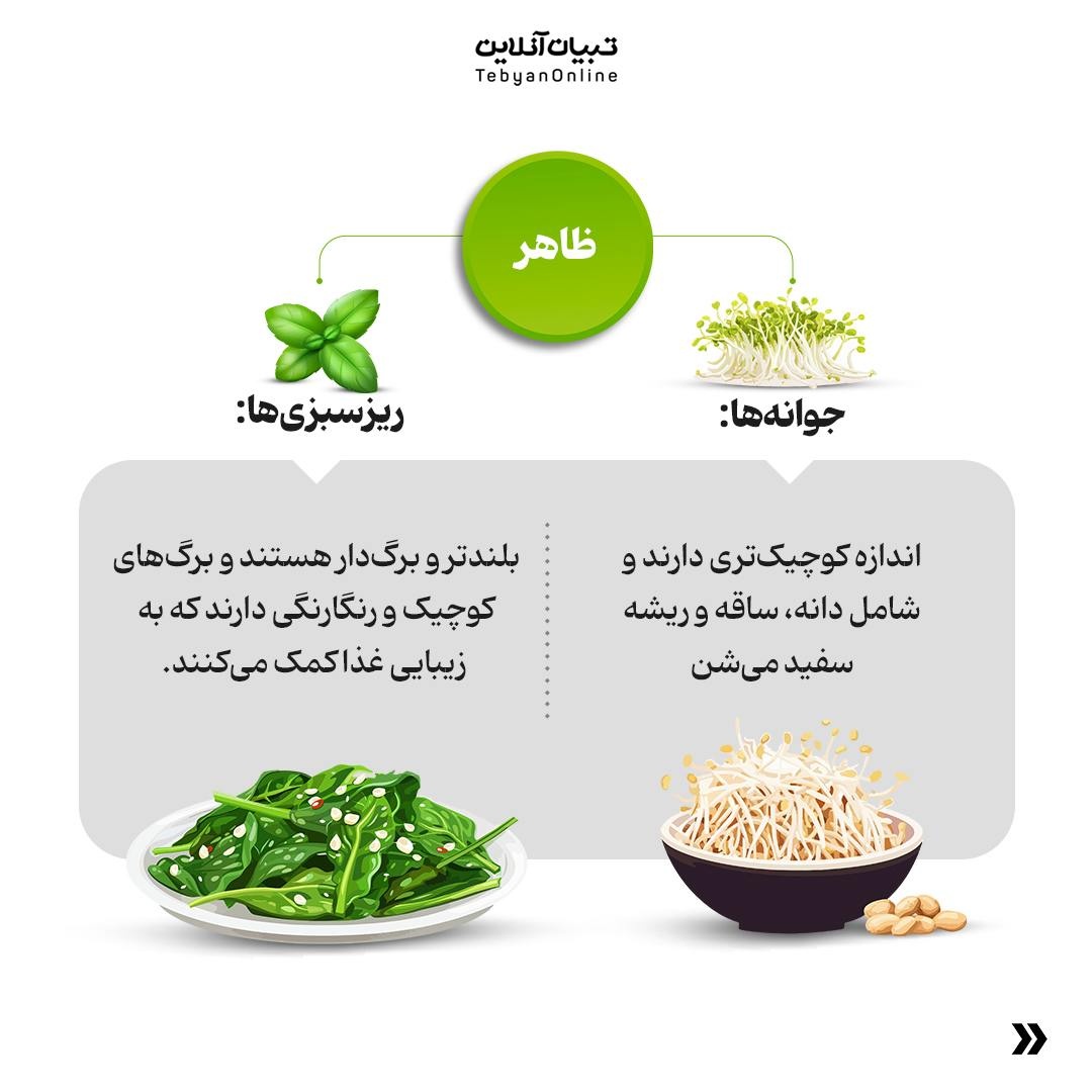 فرق بین ریزسبزی‌ها و جوانه‌ها