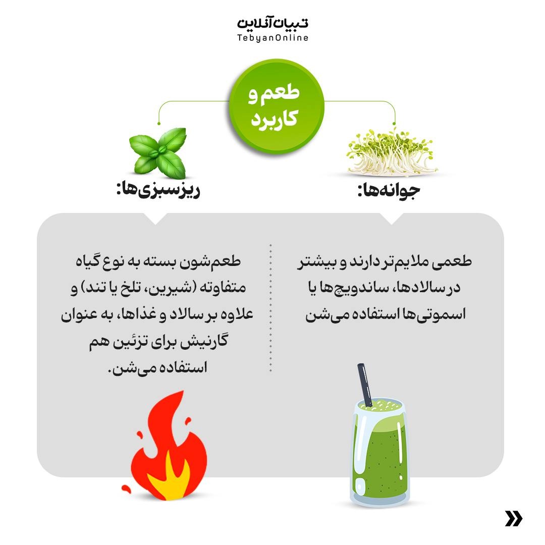 فرق بین ریزسبزی‌ها و جوانه‌ها