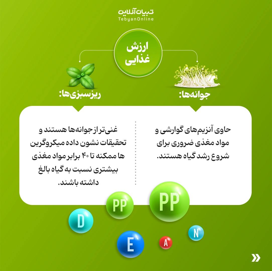 فرق بین ریزسبزی‌ها و جوانه‌ها