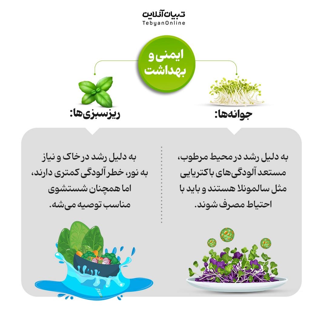 فرق بین ریزسبزی‌ها و جوانه‌ها