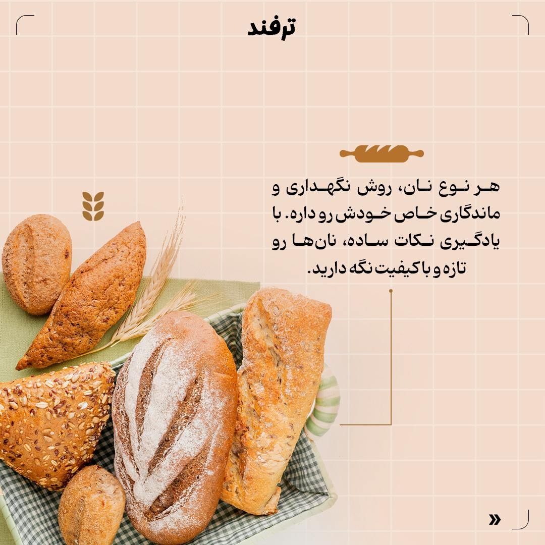 راهنمای نگهداری انواع نان