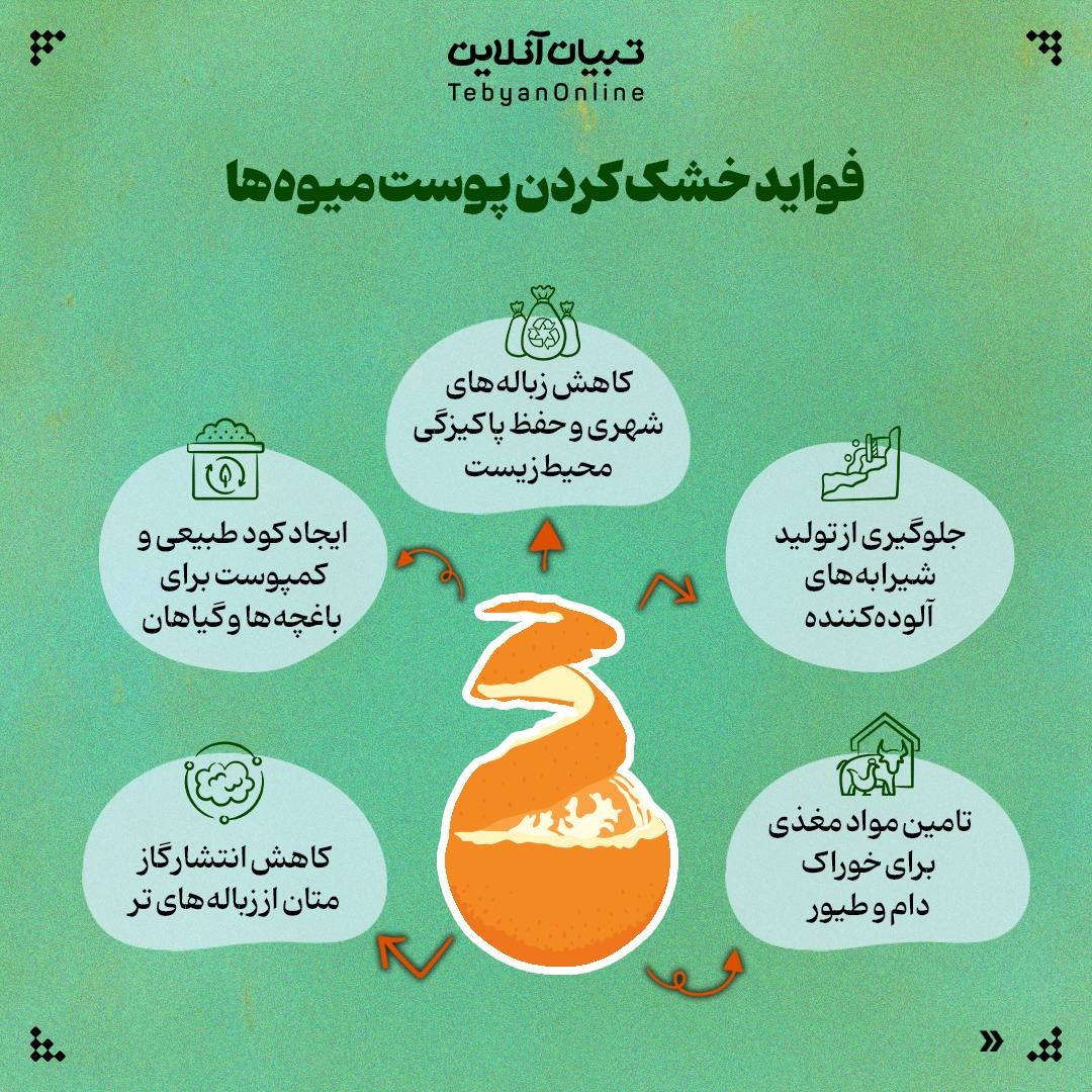 پوست میوه، طلای ناپیدای آشپزخانه!