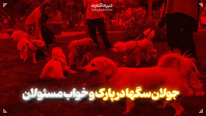 جولان سگها در پارک و خواب مسئولان