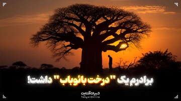 برادرم یک "درخت بائوباب" داشت!