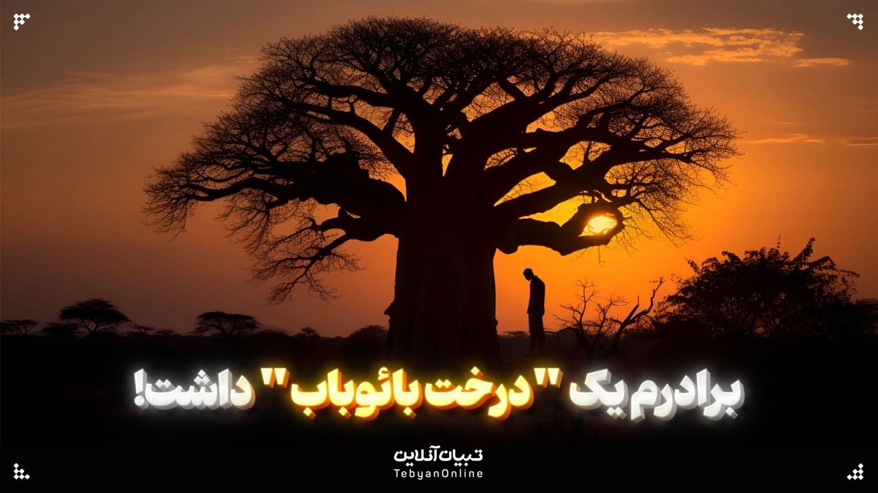 برادرم یک "درخت بائوباب" داشت! برادرم یک "درخت بائوباب" داشت!