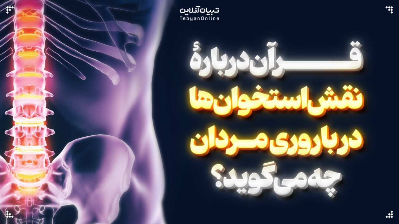 قرآن دربارۀ نقش استخوان‌ها در باروری مردان چه می‌گوید؟