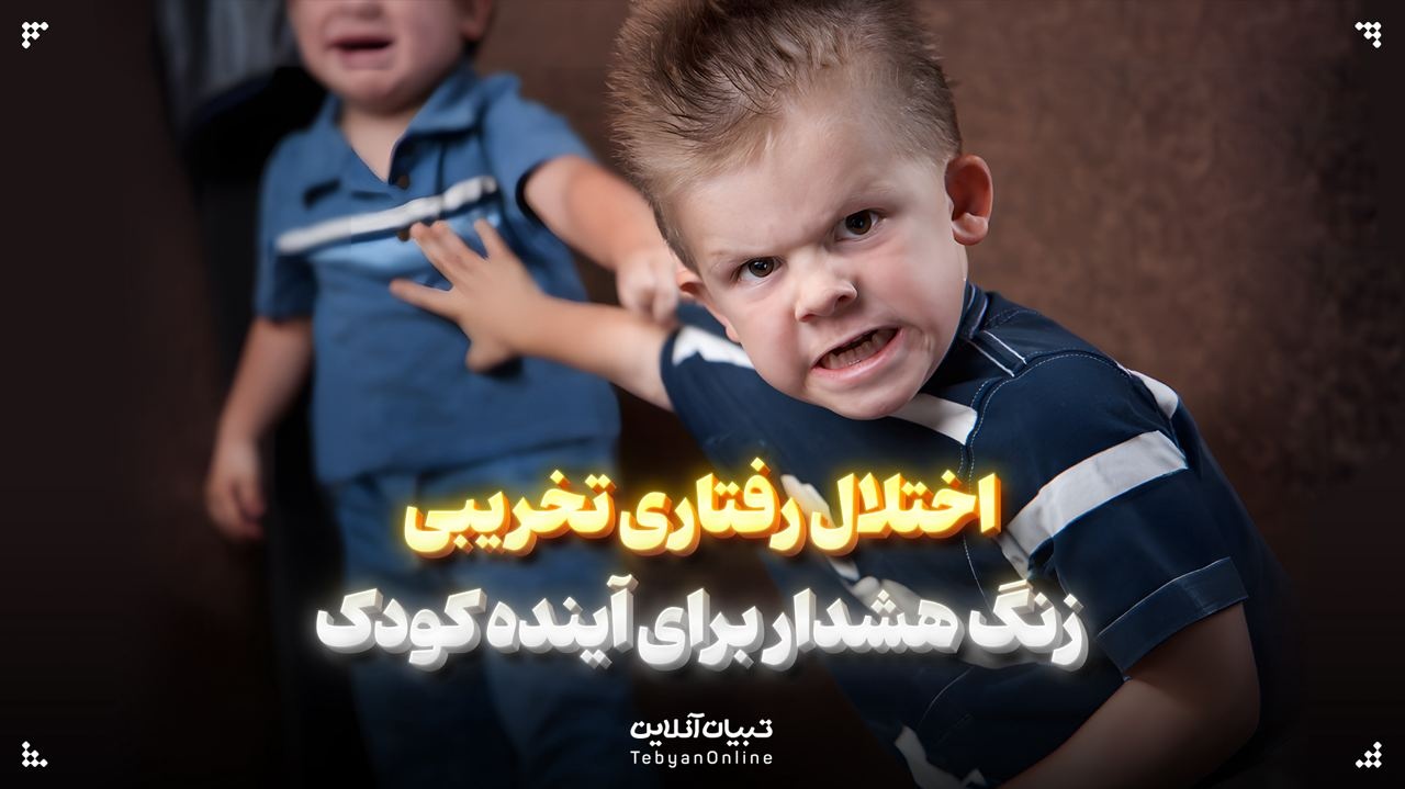 اختلال رفتاری تخریبی زنگ هشدار برای آینده کودک