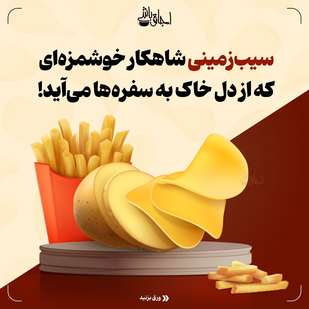 شاهکار خوشمزه‌ای که از دل خاک به سفره‌ها می‌آید