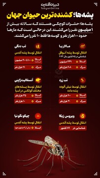 پشه‌ها؛ کشنده‌ترین حیوان جهان