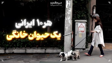 هر ۱۰ ایرانی یک حیوان خانگی
