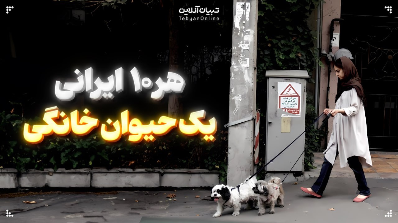 هر ۱۰ ایرانی یک حیوان خانگی