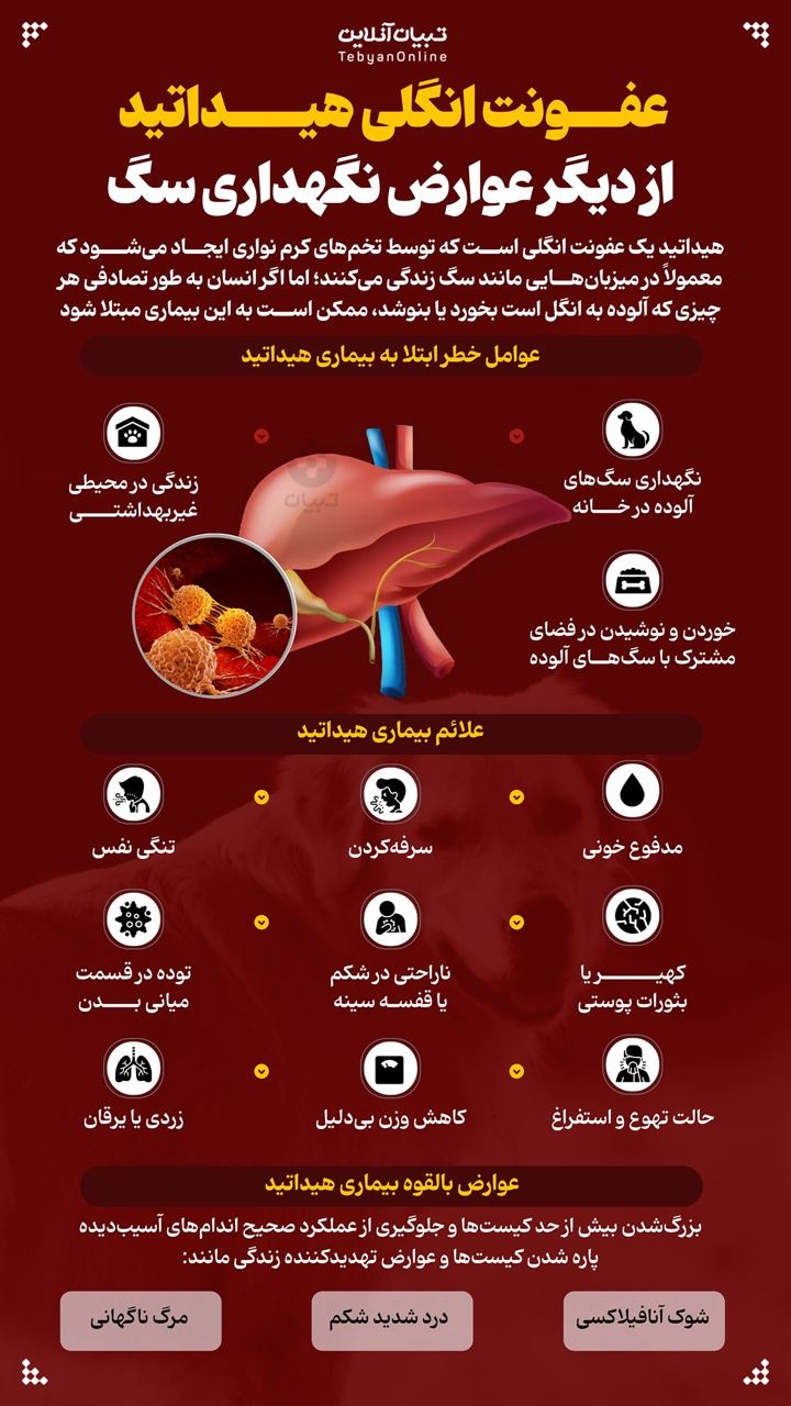 عفونت انگلی هیداتید؛ از دیگر عوارض نگهداری سگ عفونت انگلی هیداتید؛ از دیگر عوارض نگهداری سگ