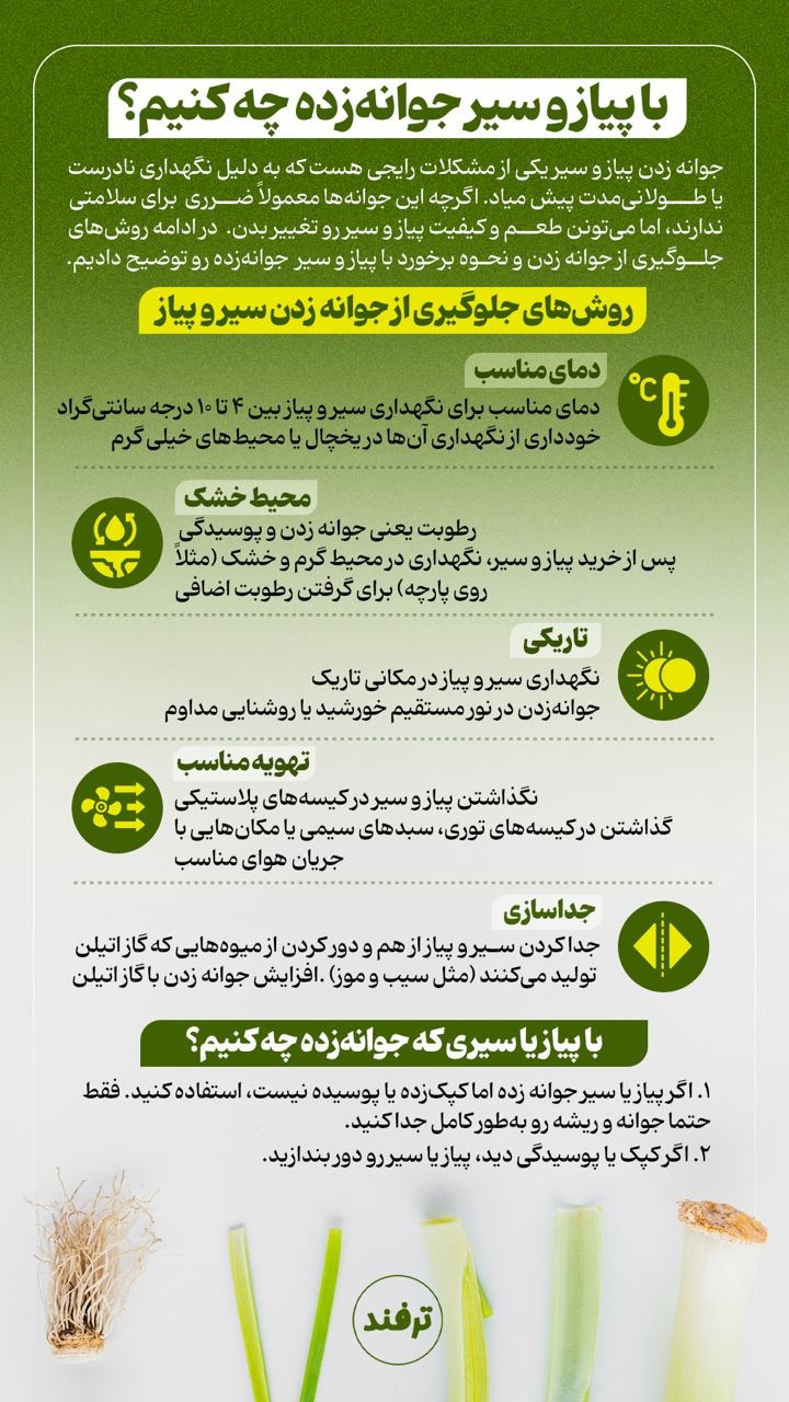 با پیاز و سیر جوانه زده چه کنیم؟