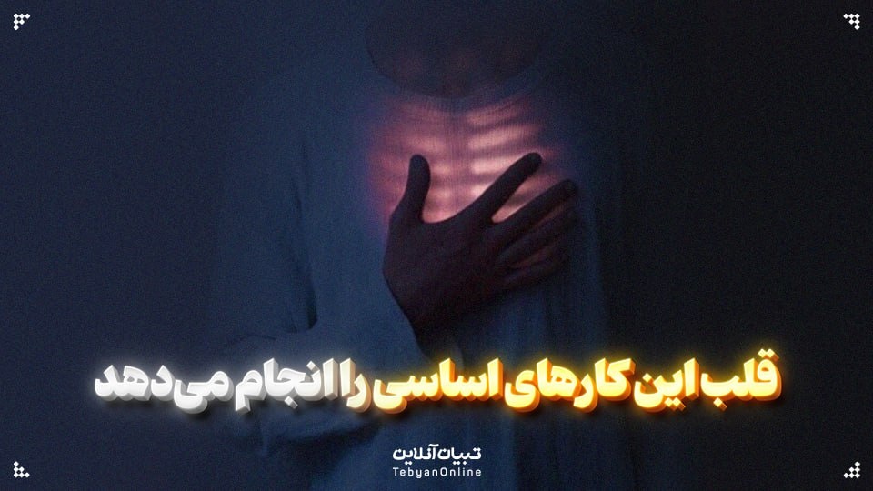 7 کار اساسی قلب در نهج البلاغه