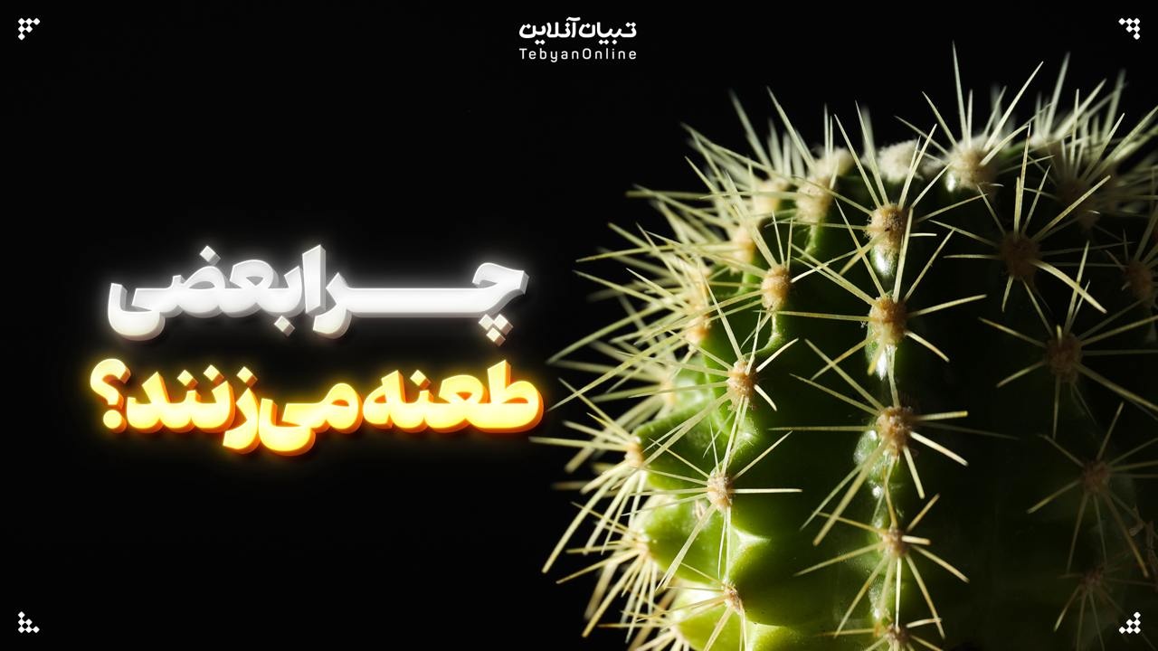 چرا بعضی طعنه می‌زنند؟