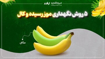 ۵ روش نگهداری موز رسیده و کال