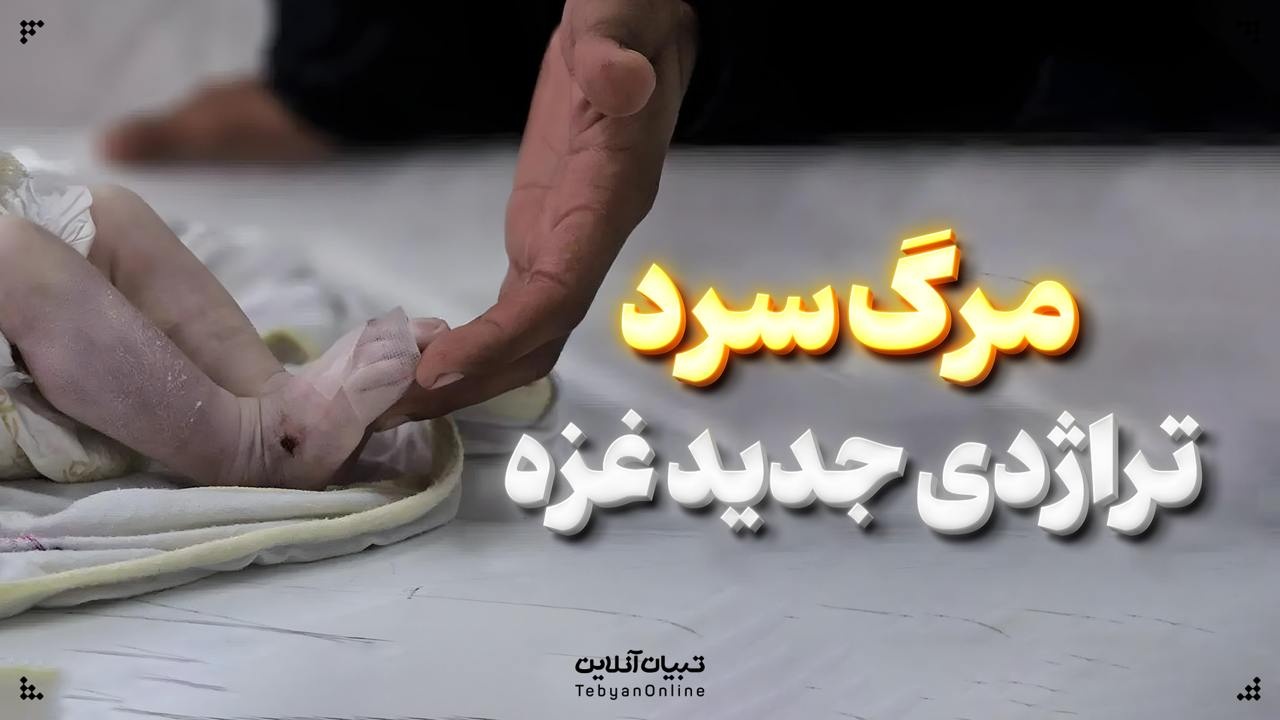 مرگ سرد؛ تراژدی جدید غزه