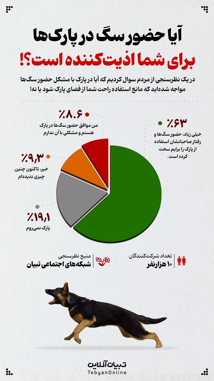 آیا حضور سگ‌ در پارک‌ها برای شما اذیت‌کننده است؟!