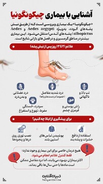 آشنایی با بیماری چیکونگونیا