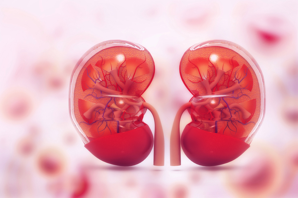 Navigating the Journey of a Second Kidney Transplant