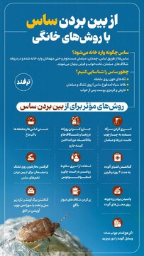 از بین بردن ساس با روش‌های خانگی ساس چگونه وارد خانه می‌شود؟ 