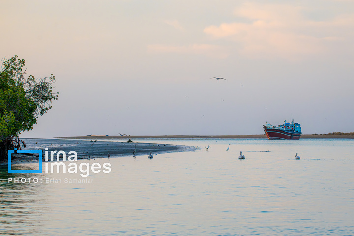 خور آذینی 