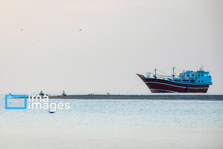 خور آذینی 