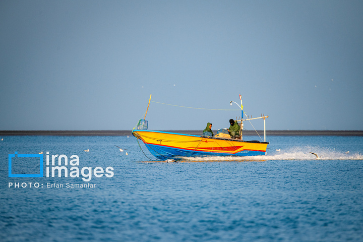 خور آذینی 