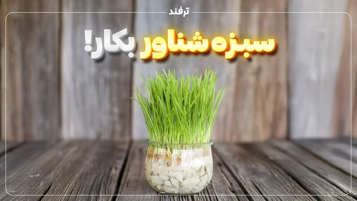 سبزه شناور بکارید!