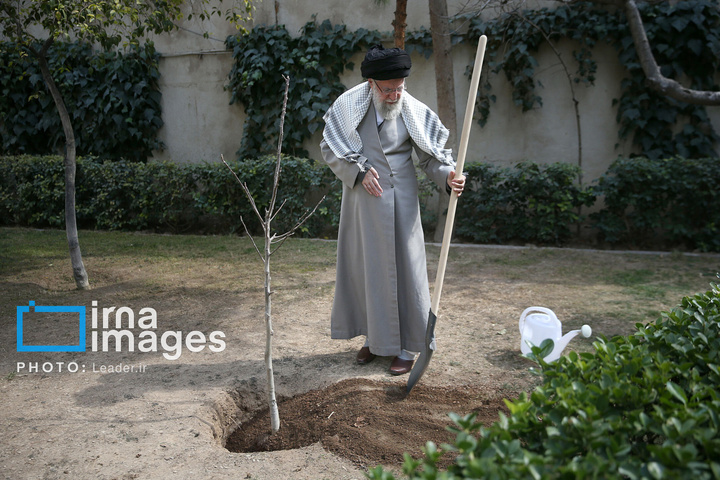 کاشت نهال در روز درختکاری توسط رهبر معظم انقلاب