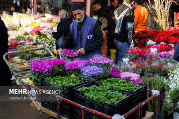 بازار گل محلاتی در آستانه نوروز