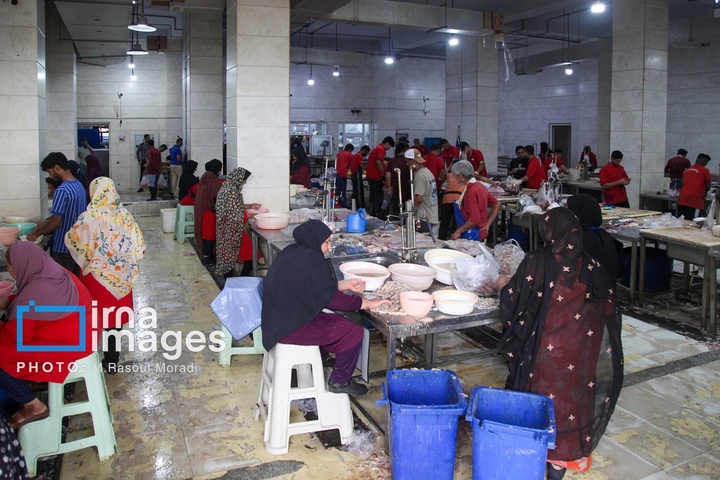 بازار ماهی فروشان بندرعباس در آستانه سال نو