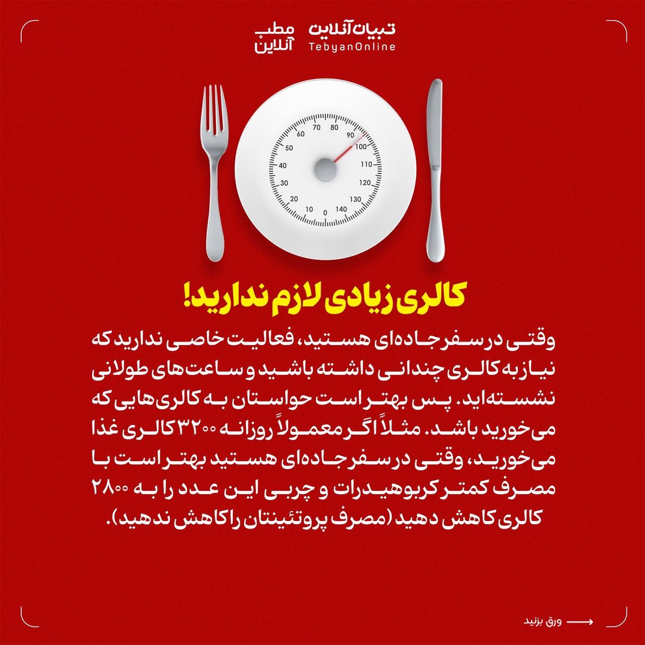 تغذیه در سفرهای جادهای