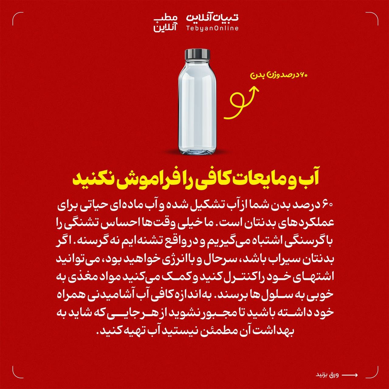 تغذیه در سفرهای جادهای