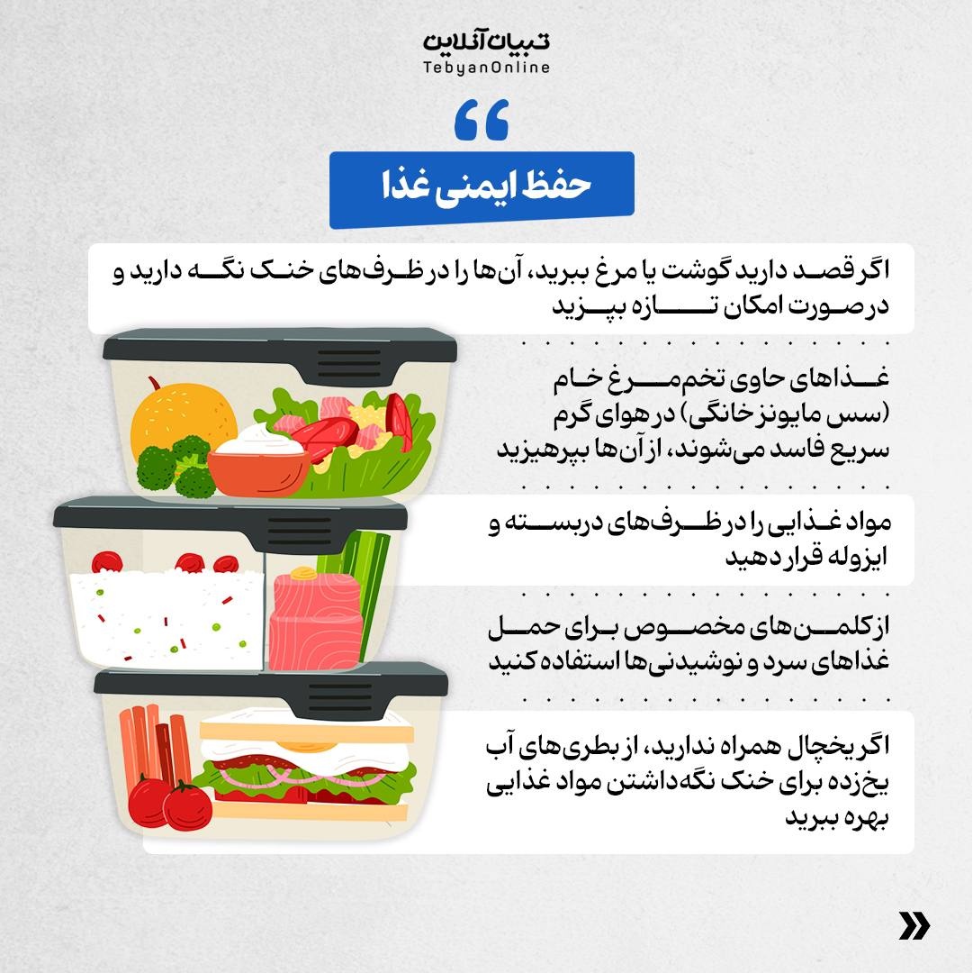 حفظ ایمنی و سلامت در سفرهای یکروزه یا پیکنیک