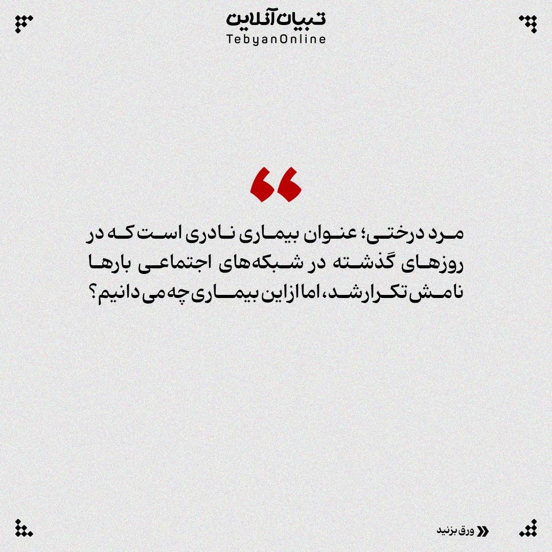 همهچیز درباره بیماری مردردرختی