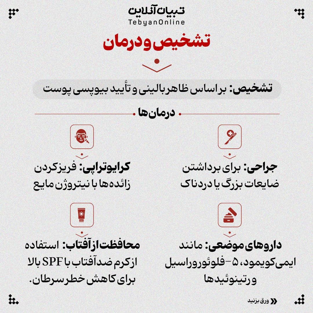 همهچیز درباره بیماری مردردرختی