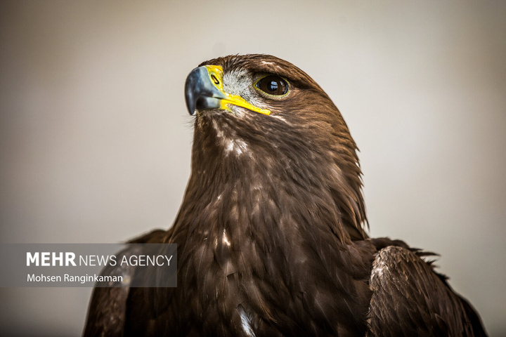 باغ پرندگان تهران