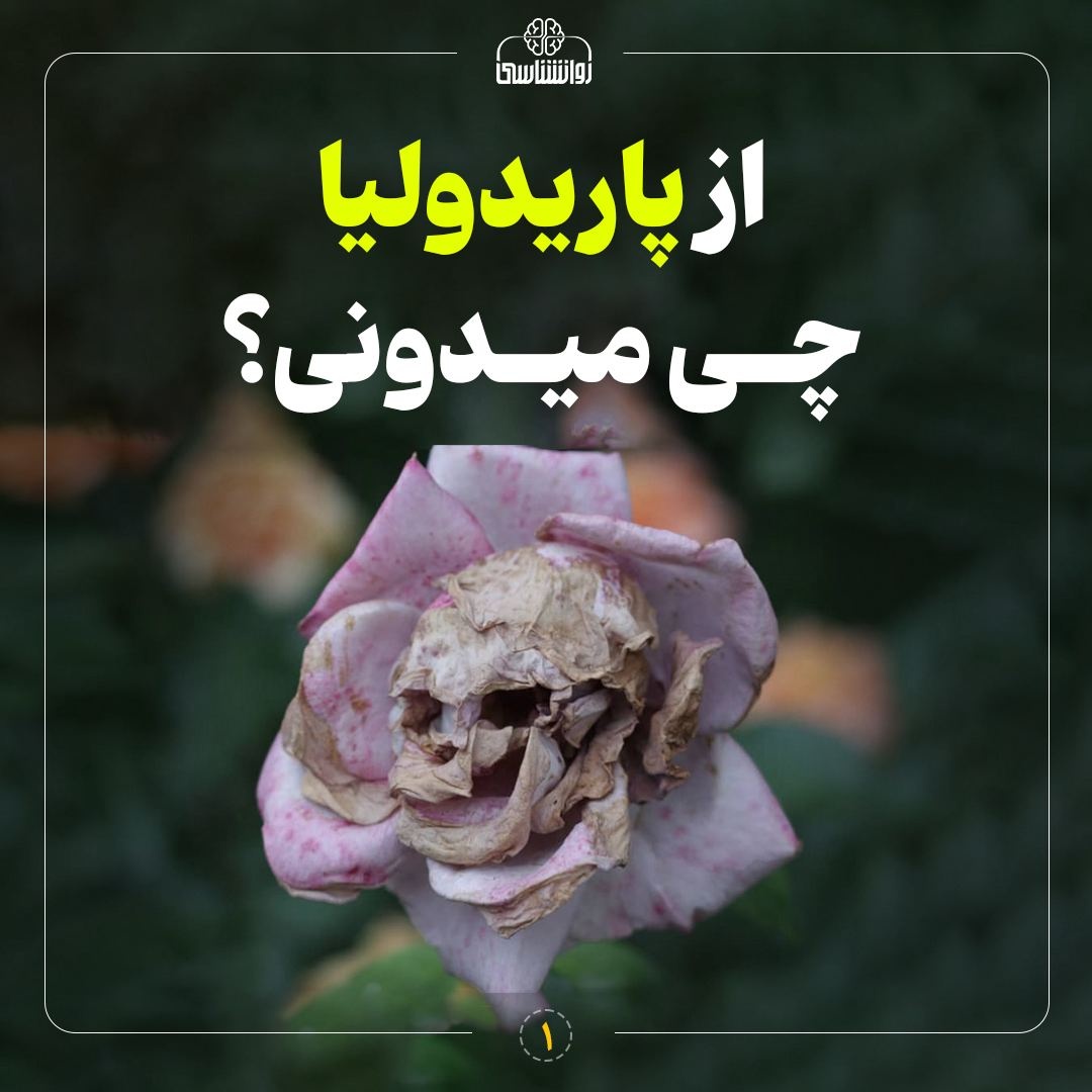  از پاریدولیا چی میدونی؟