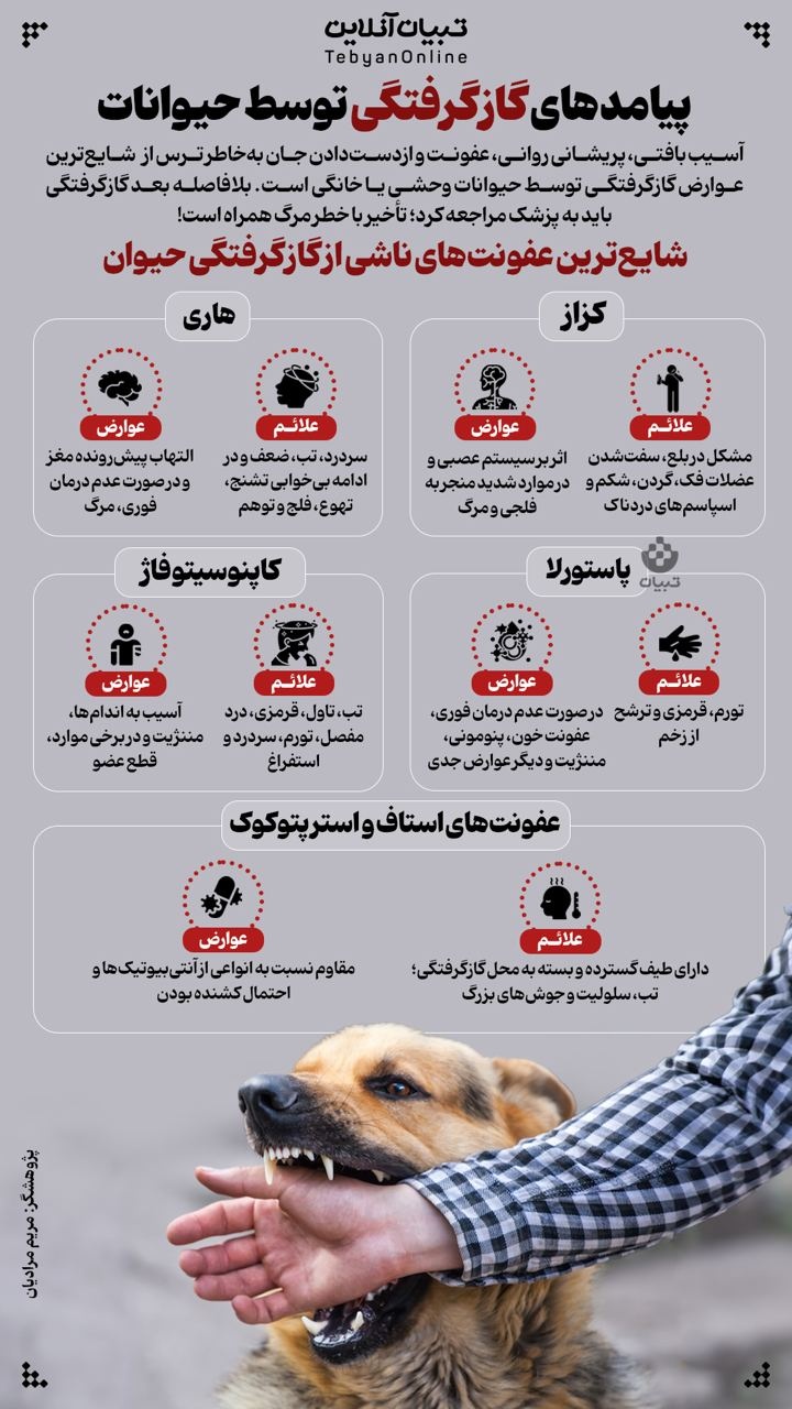 پیامدهای گاز گرفتگی توسط حیوانات