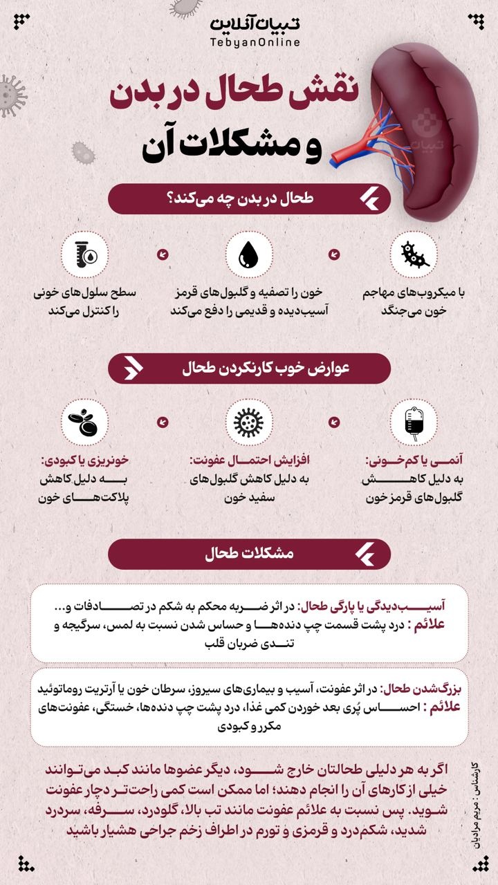 نقش طحال در بدن و مشکلات آن