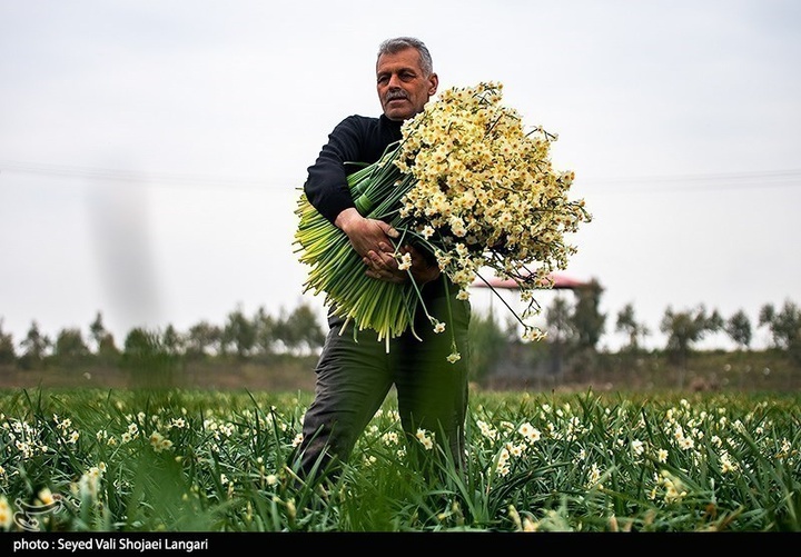 روز کارگر