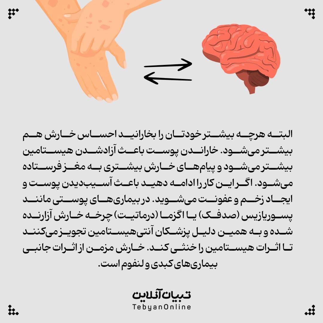&nbsp;چرا احساس خارش داریم؟