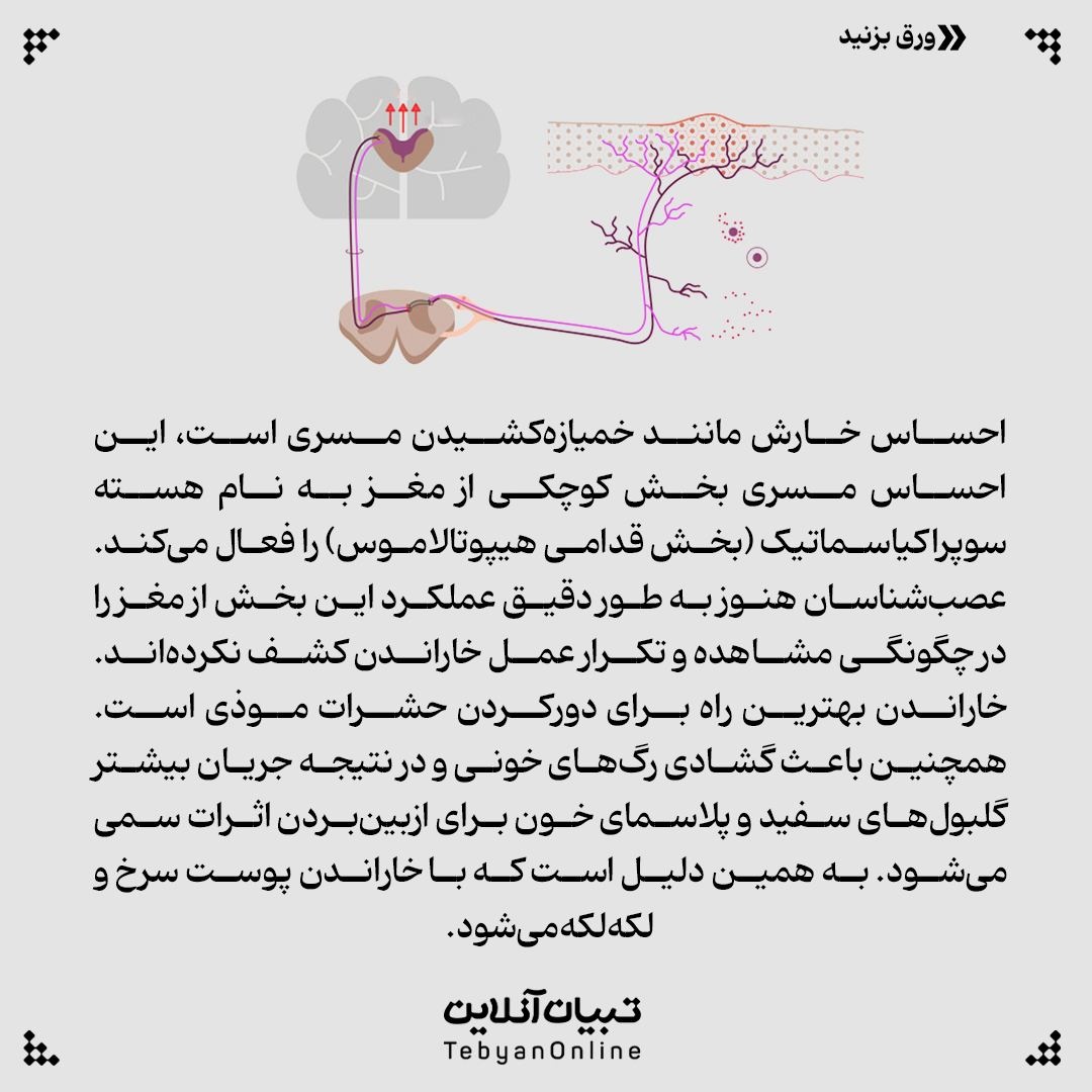 چرا احساس خارش داریم؟