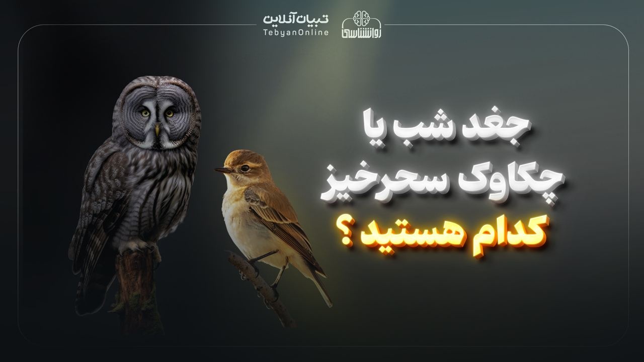جغد شب یا گنجشک سحرخیز  کدام هستید؟