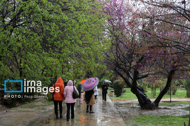 ۱۵ اردیبهشت؛ «روز شیراز»