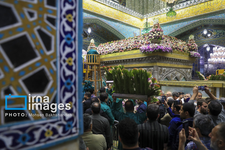 تعویض گل‌های ضریح امام رضا علیه‌السلام