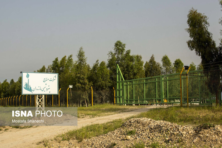 طبیعت میانکاله در اسارت فنس؛ تلاش برای احیای «حفاظت»