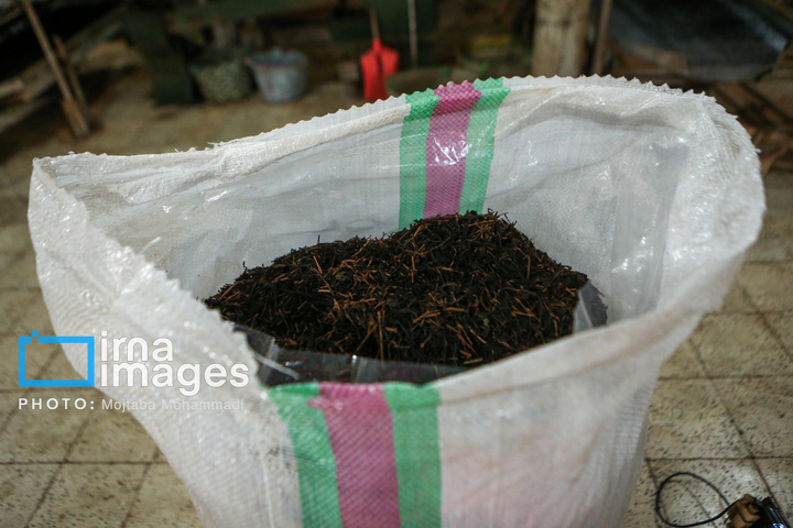 چای ایرانی