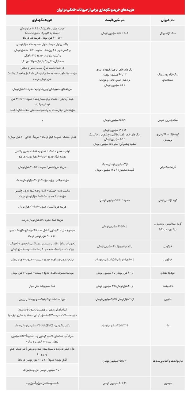 اقتصاد عجیب پت پشتیبان سگگردانی